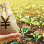 ふるさと納税を行ったら確定申告して税金の還付を受けよう！