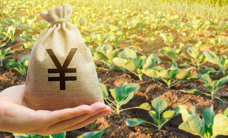 ふるさと納税を行ったら確定申告して税金の還付を受けよう！