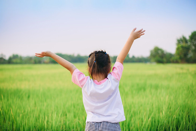 投資よりも安全で効率的な生活防衛のためのふるさと納税のススメ
