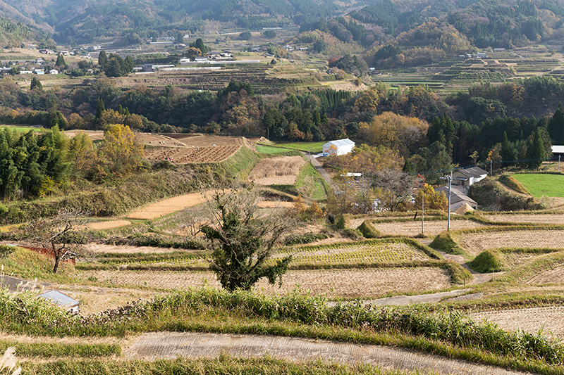 相続で所有者不明土地にしないために