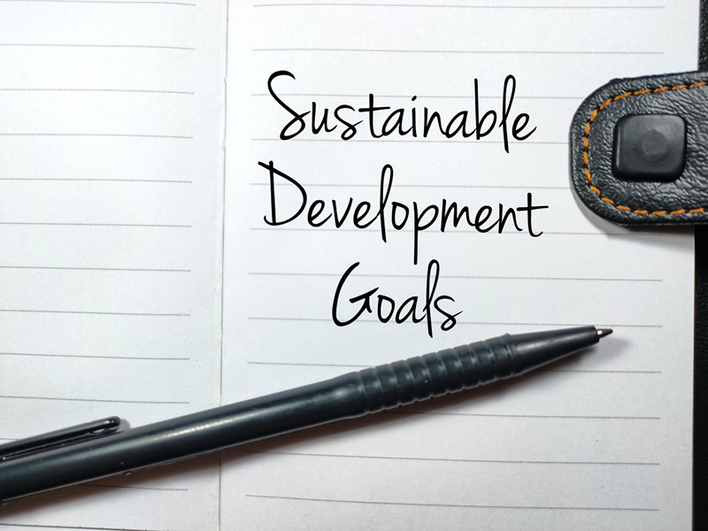 SDGsと就活生の会社選び