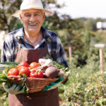 相続税の2022年問題って何？生産緑地指定を受けている人は要注意！