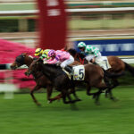 負けているのにさらに課税？ 競馬の一時所得課税