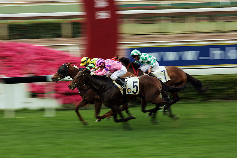 負けているのにさらに課税？ 競馬の一時所得課税