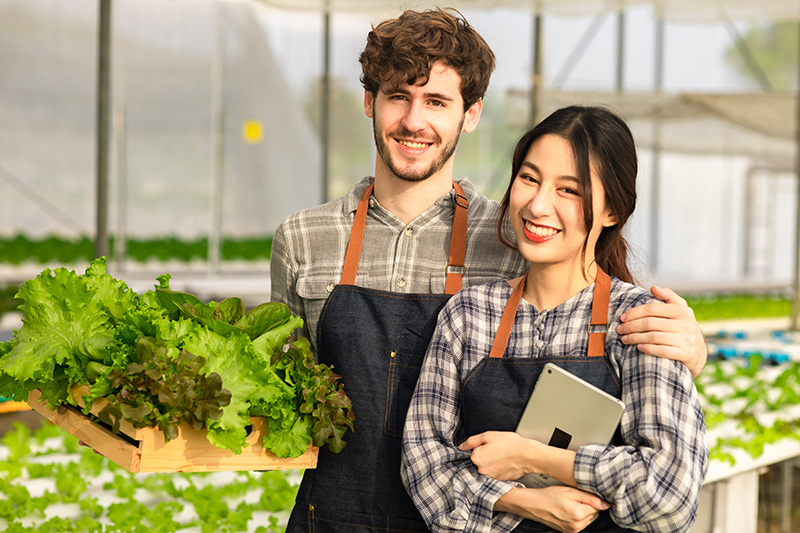 インボイス業者扱いの消費者・農林漁民
