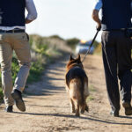 税金よもやま話『嘱託警察犬と税金』