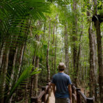 令和6年度から徴収開始 森林環境税は1,000円