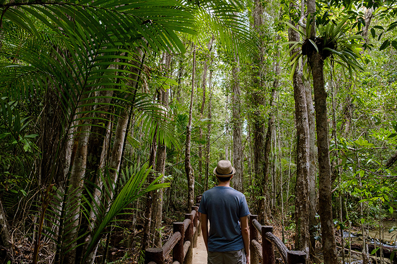 令和6年度から徴収開始 森林環境税は1,000円