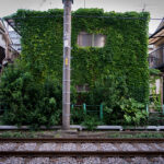 空き家の譲渡所得の3,000万円特別控除